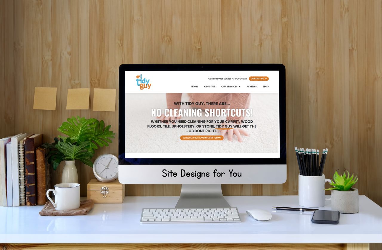 Tidy Guy Floor Cleaning Services Tidy Guy